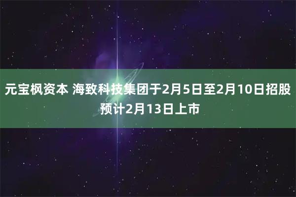 元宝枫资本 海致科技集团于2月5日至2月10日招股 预计2月13日上市