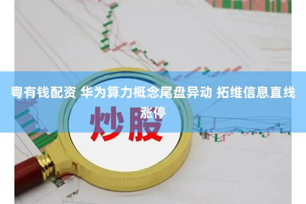 粤有钱配资 华为算力概念尾盘异动 拓维信息直线涨停