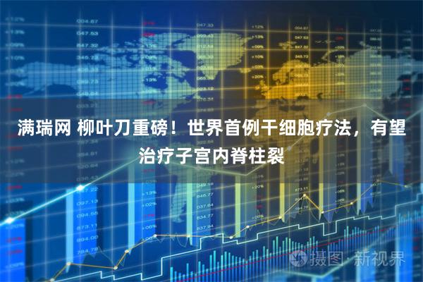 满瑞网 柳叶刀重磅！世界首例干细胞疗法，有望治疗子宫内脊柱裂