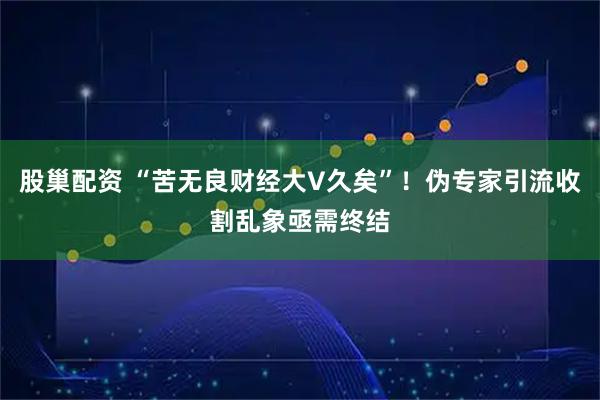 股巢配资 “苦无良财经大V久矣”！伪专家引流收割乱象亟需终结