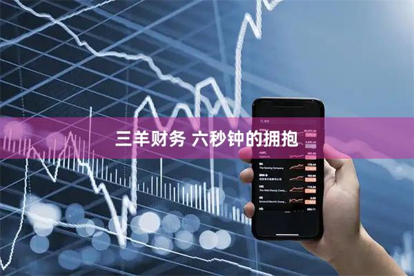 三羊财务 六秒钟的拥抱