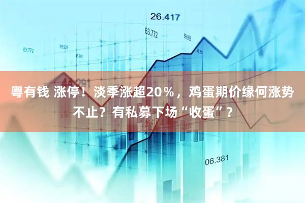 粤有钱 涨停！淡季涨超20％，鸡蛋期价缘何涨势不止？有私募下场“收蛋”？