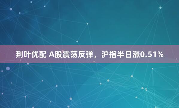 荆叶优配 A股震荡反弹，沪指半日涨0.51%
