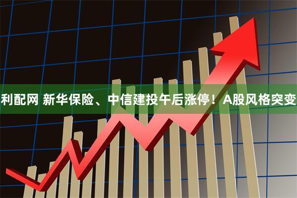利配网 新华保险、中信建投午后涨停！A股风格突变