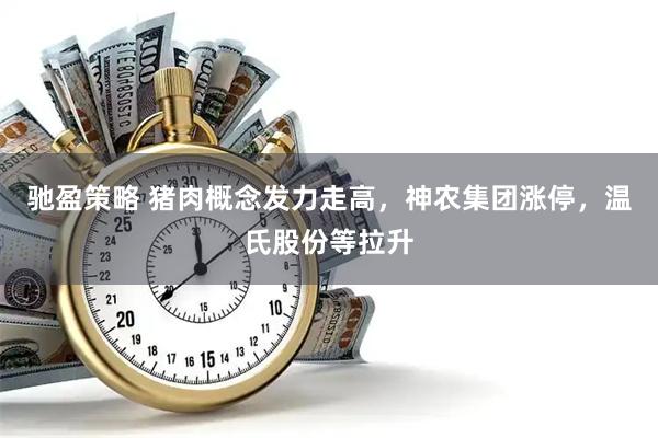驰盈策略 猪肉概念发力走高，神农集团涨停，温氏股份等拉升