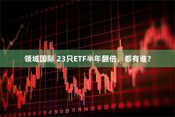 领域国际 23只ETF半年翻倍，都有谁？