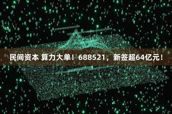 民间资本 算力大单！688521，新签超64亿元！