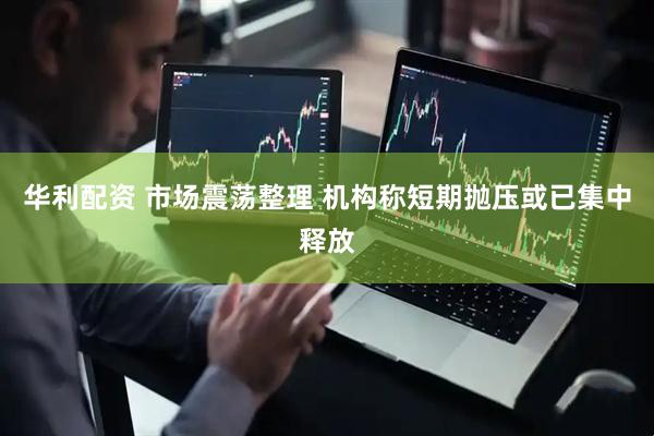 华利配资 市场震荡整理 机构称短期抛压或已集中释放